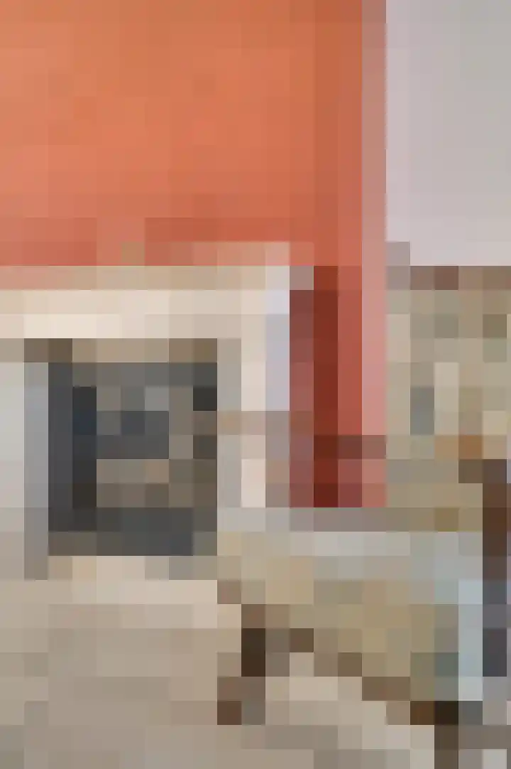 Den Eigen 1 a Sevenum thumbnail 32