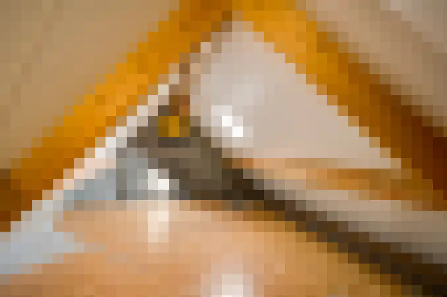 Den Eigen 1 a Sevenum thumbnail 46