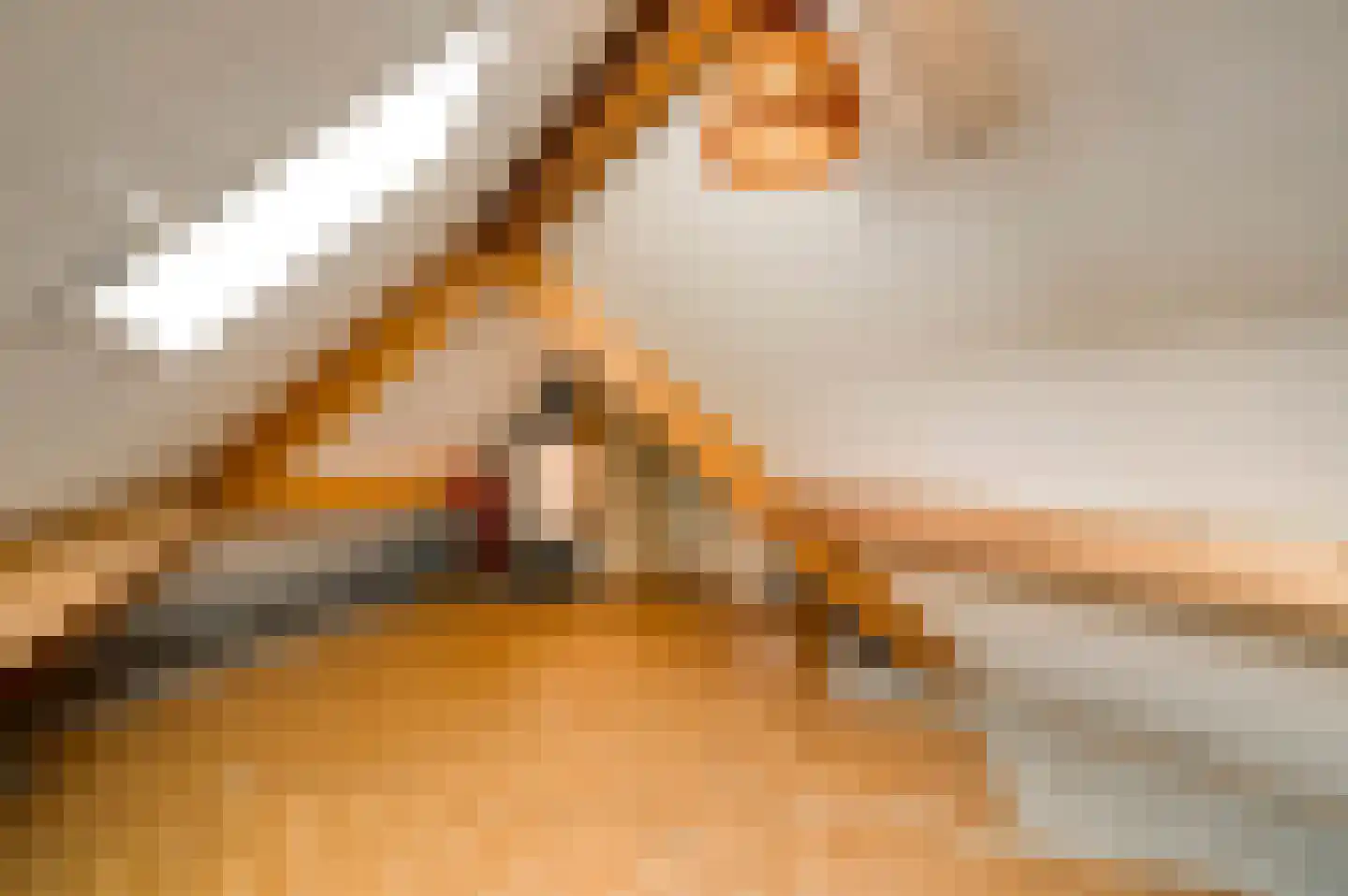 Den Eigen 1 a Sevenum thumbnail 47