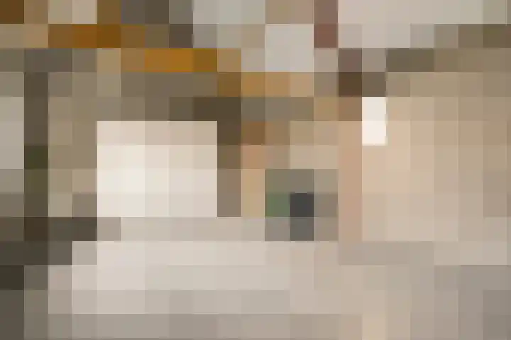 Den Eigen 1 a Sevenum thumbnail 47