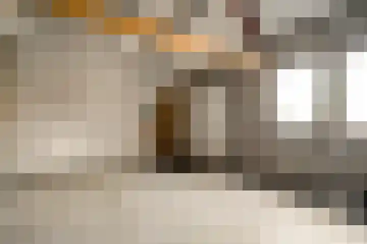 Den Eigen 1 a Sevenum thumbnail 48