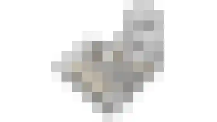 Den Eigen 1 a Sevenum thumbnail 53