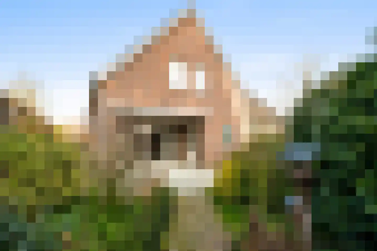 Den Eigen 1 a Sevenum thumbnail 57
