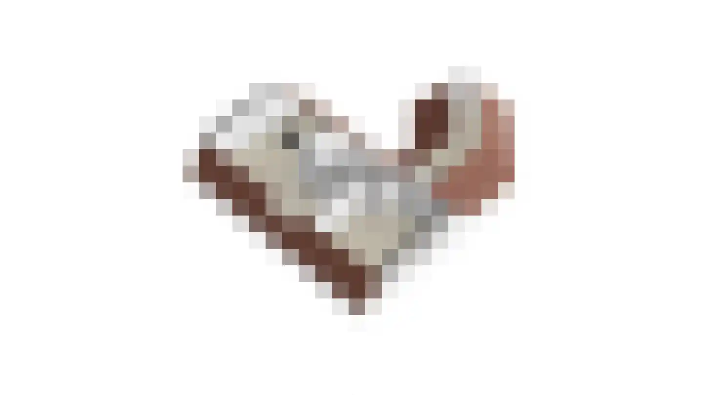 Den Eigen 1 a Sevenum thumbnail 60