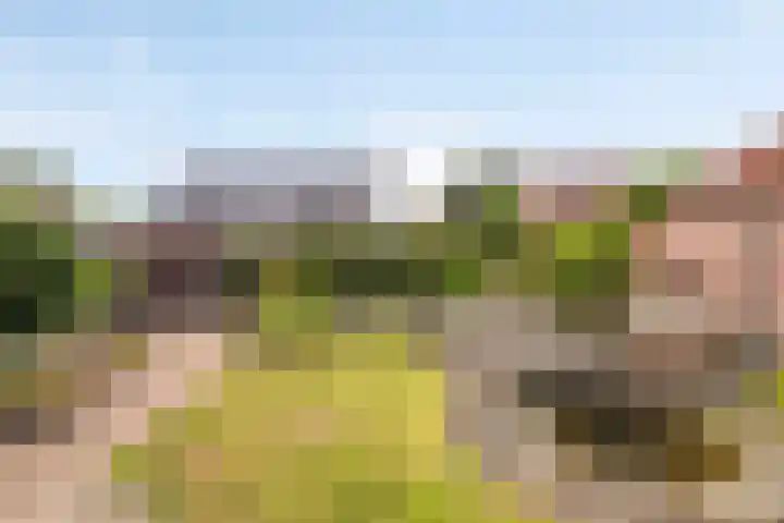 Den Eigen 17 Sevenum thumbnail 4