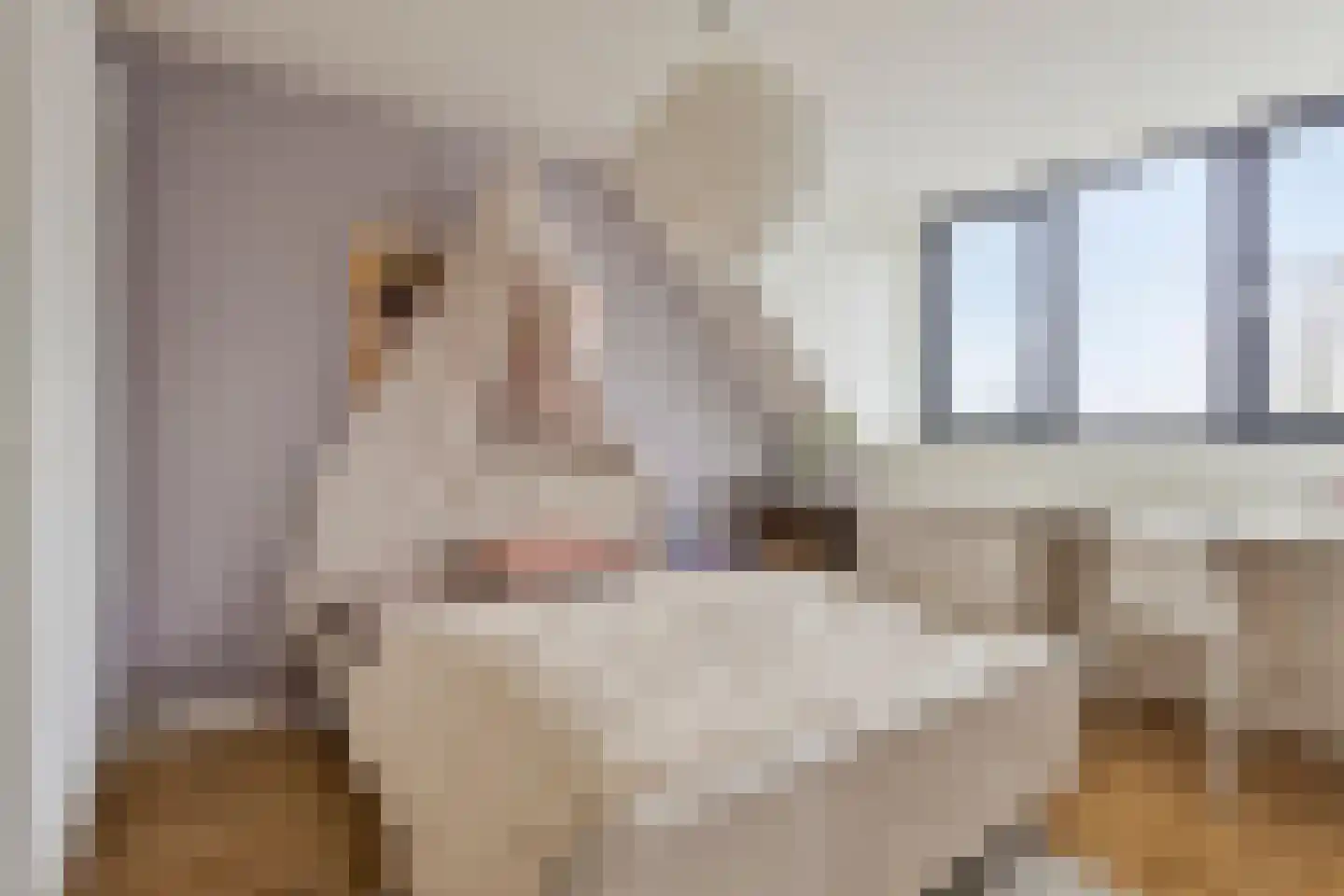Den Eik 23 Westerbeek thumbnail 35