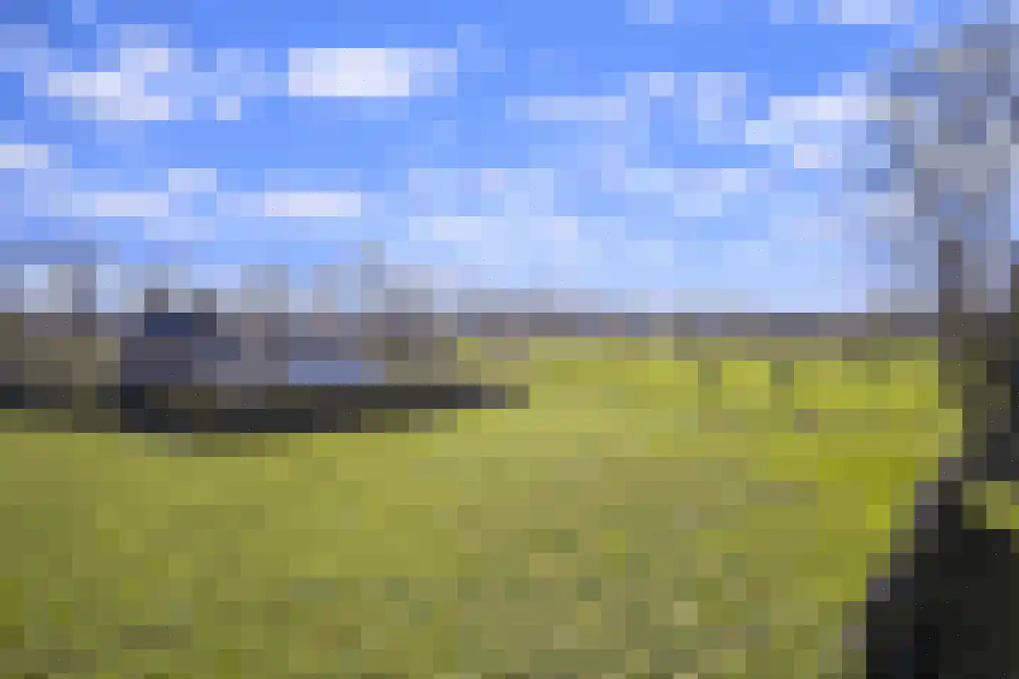 Den Eik 23 Westerbeek thumbnail 48