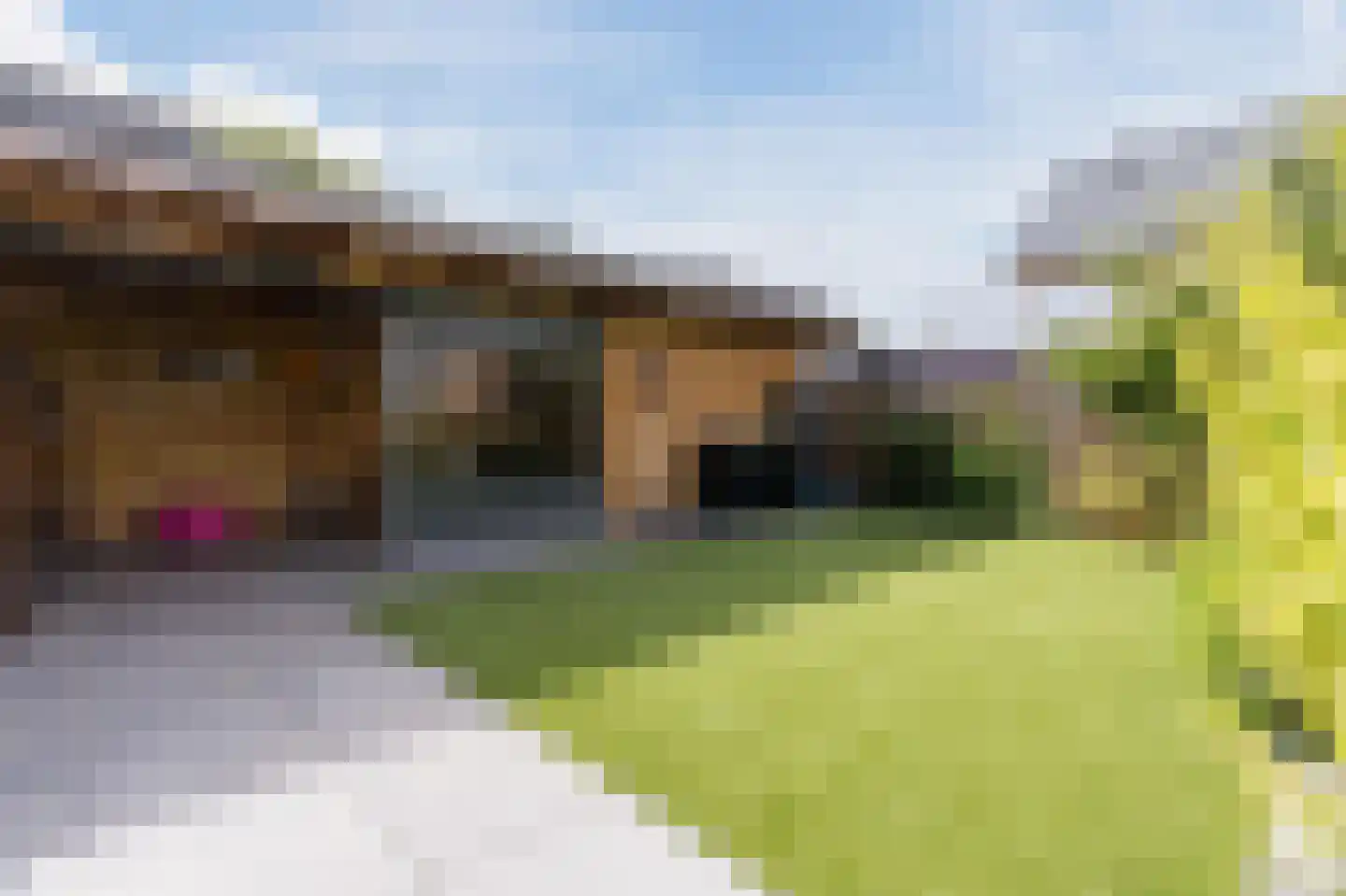 Den Ekel 24 Zuidwolde thumbnail 33
