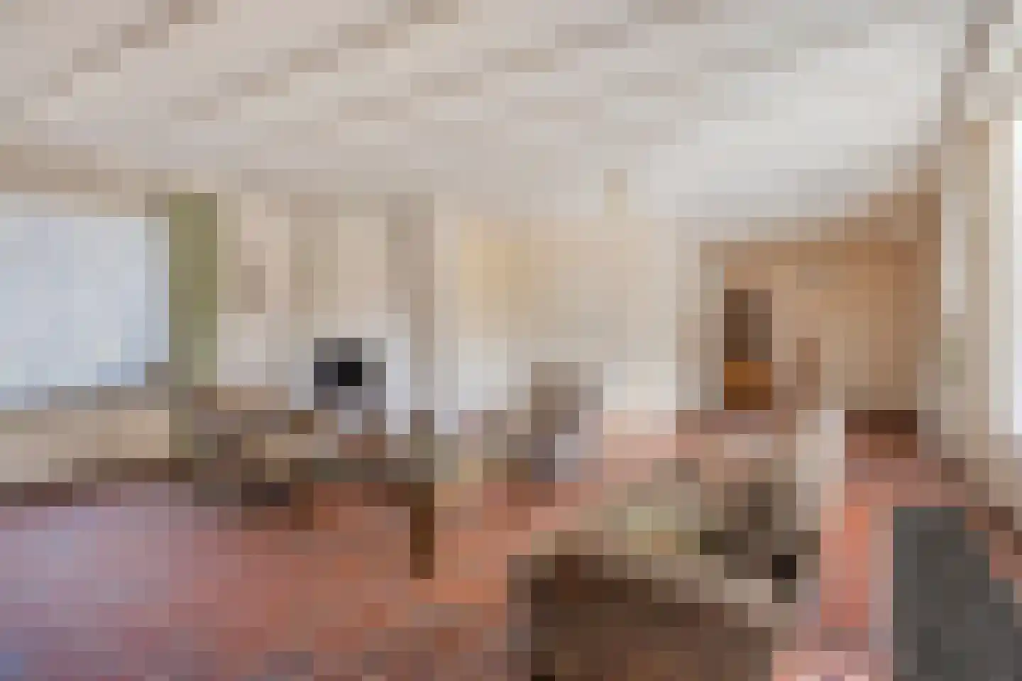 den Ekker 1 Reusel thumbnail 10