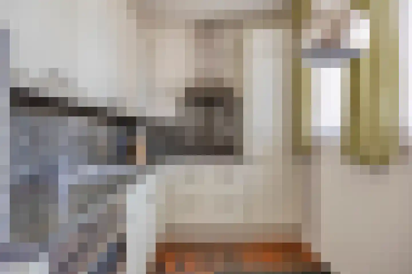 den Ekker 1 Reusel thumbnail 12