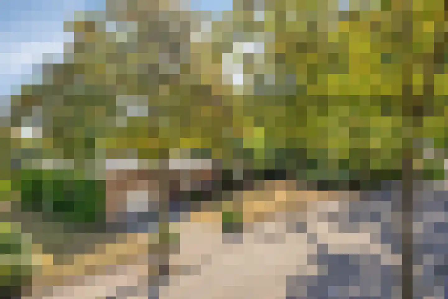 den Ekker 1 Reusel foto 2