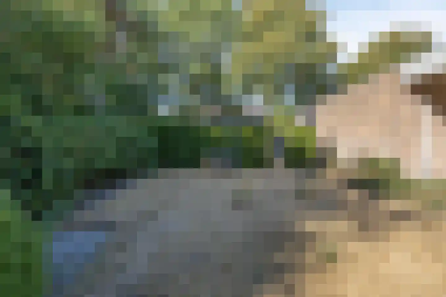 den Ekker 1 Reusel thumbnail 35