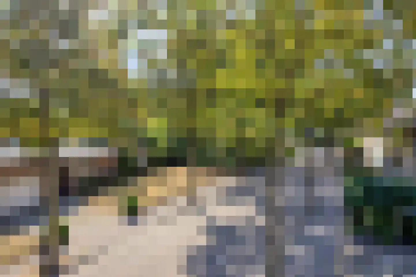 den Ekker 1 Reusel thumbnail 39