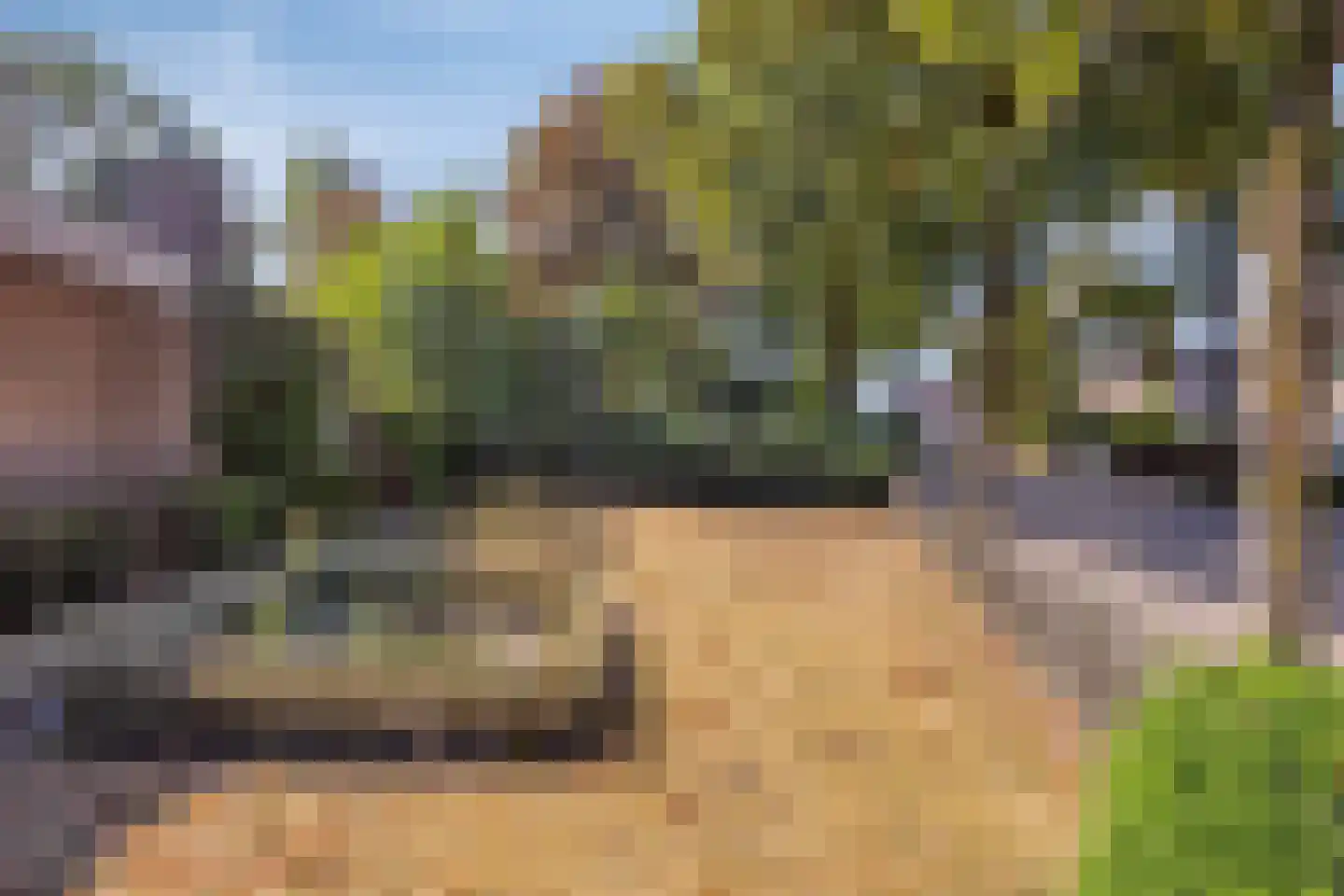 den Ekker 1 Reusel thumbnail 40