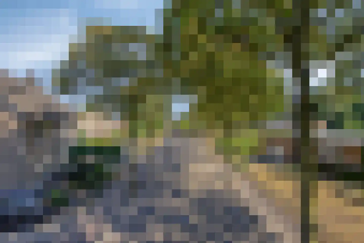 den Ekker 1 Reusel thumbnail 42