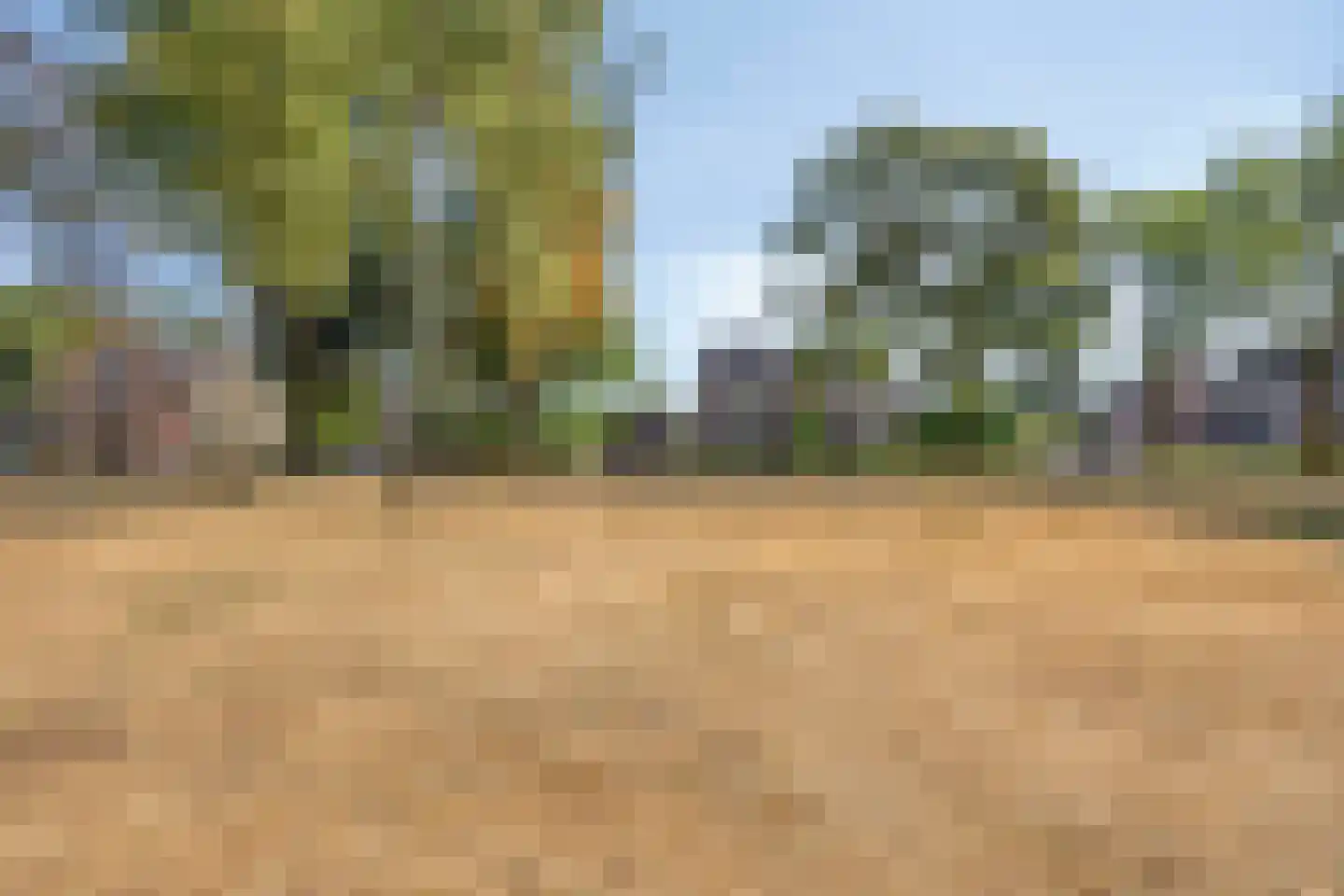 den Ekker 1 Reusel thumbnail 44