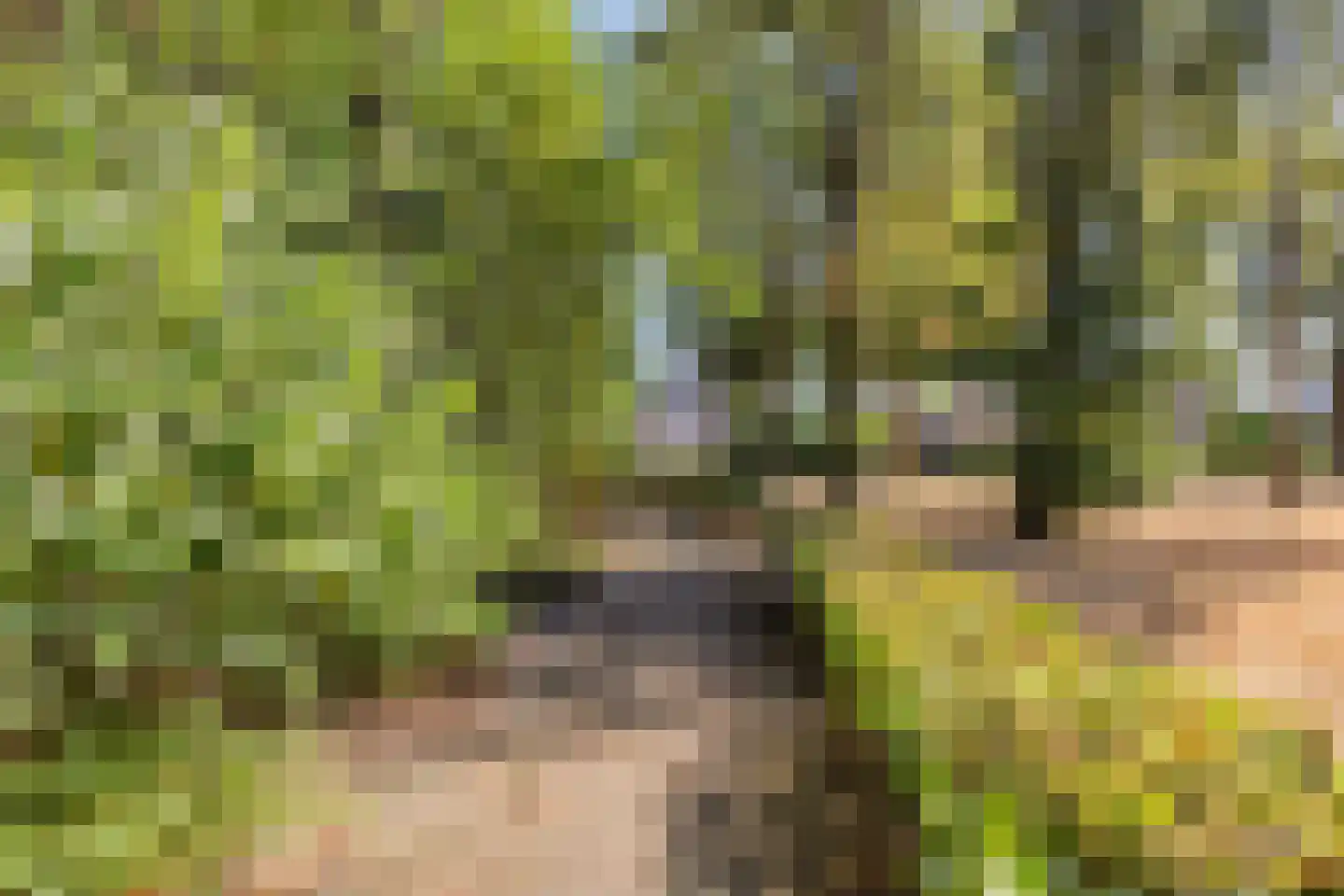 den Ekker 1 Reusel thumbnail 45
