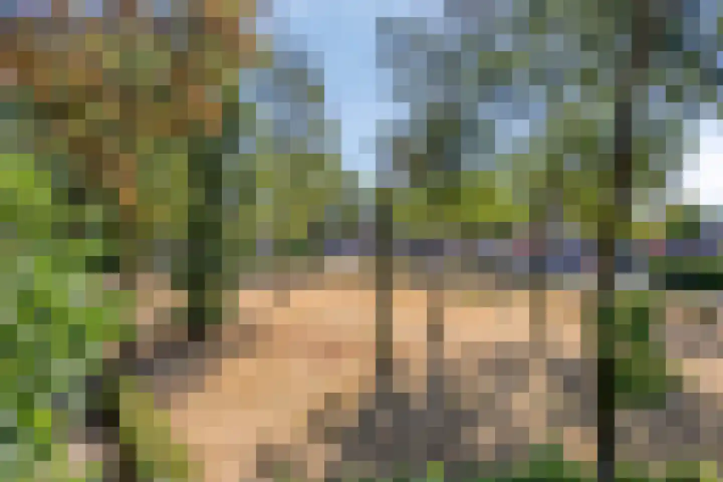 den Ekker 1 Reusel thumbnail 46