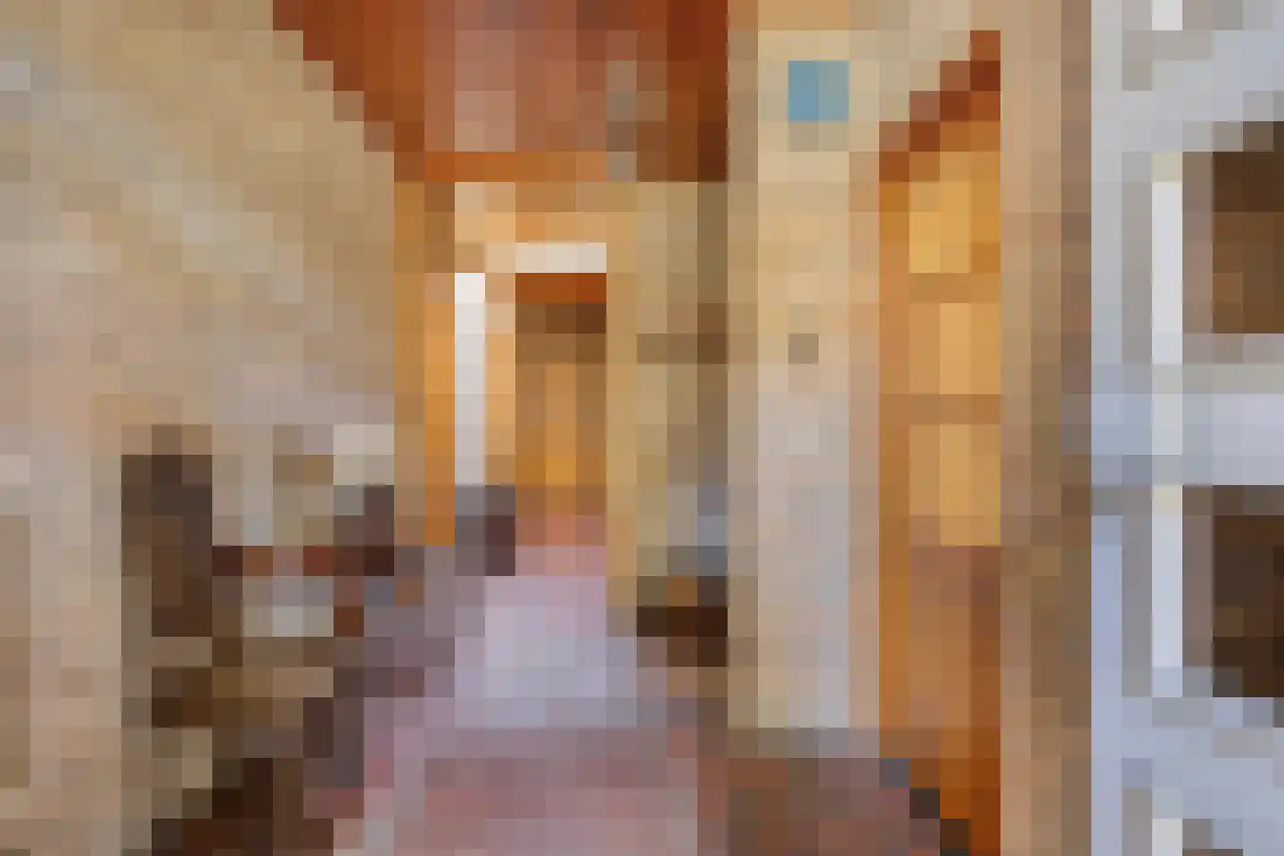 den Ekker 1 Reusel thumbnail 5