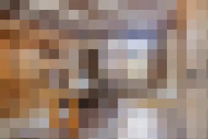 den Ekker 15 Reusel thumbnail 11