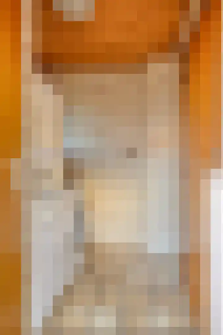 den Ekker 15 Reusel thumbnail 16