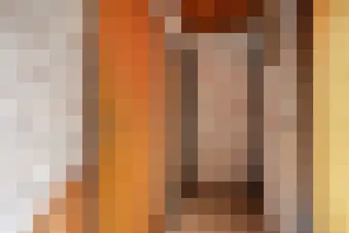 den Ekker 15 Reusel thumbnail 19
