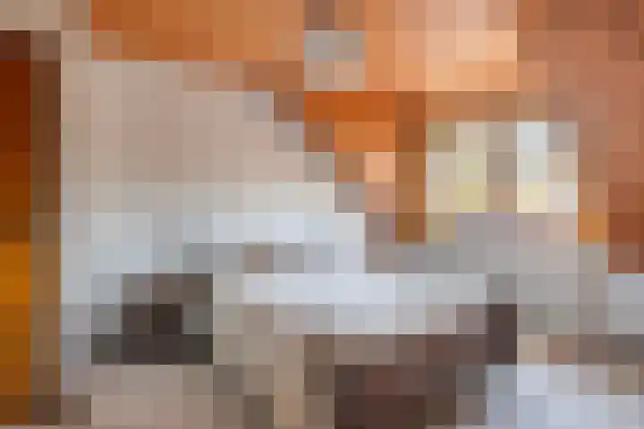 den Ekker 15 Reusel thumbnail 20