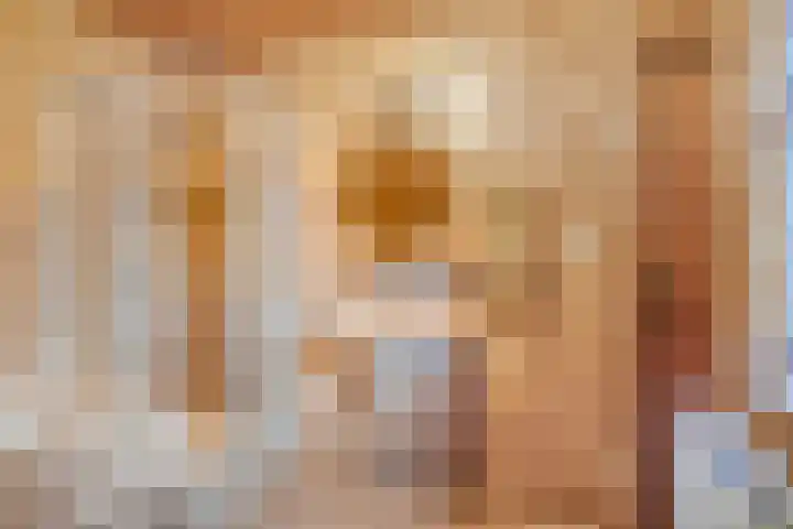 den Ekker 15 Reusel thumbnail 26