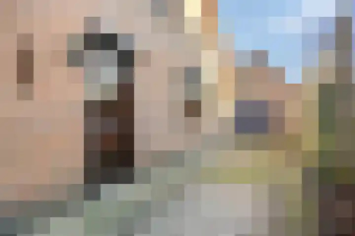 den Ekker 15 Reusel thumbnail 31