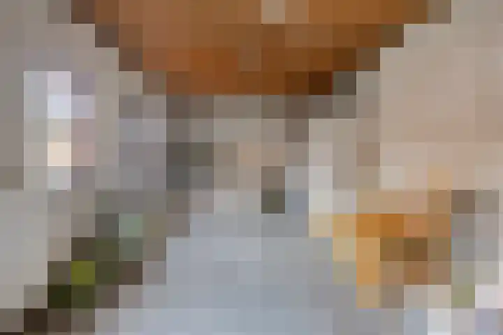 den Ekker 15 Reusel thumbnail 33