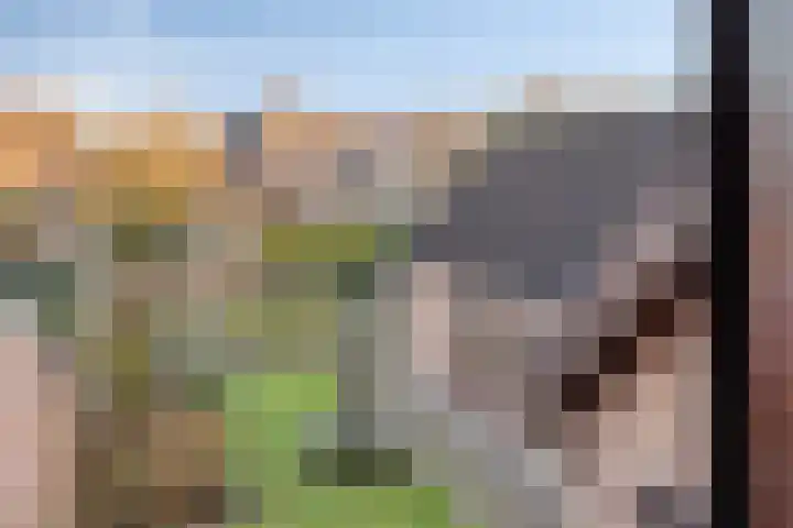 den Ekker 15 Reusel thumbnail 34