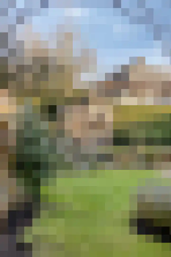den Ekker 15 Reusel thumbnail 35