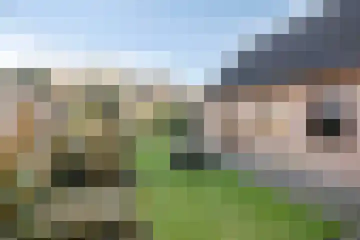 den Ekker 15 Reusel thumbnail 36