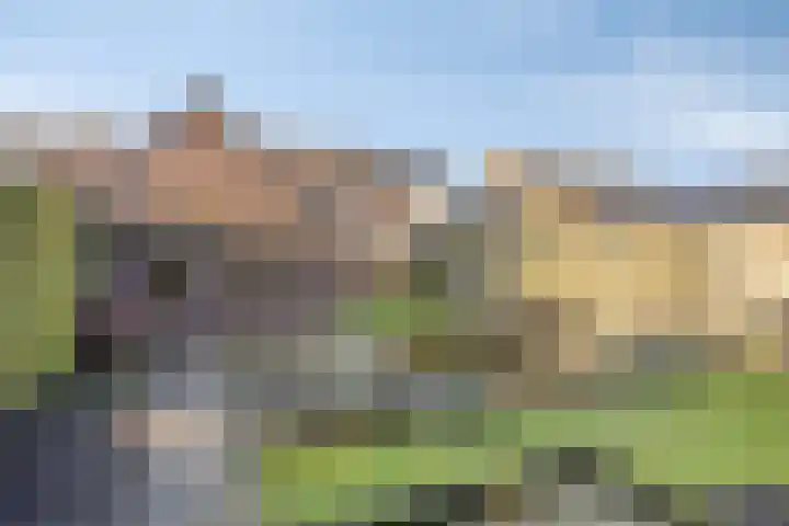 den Ekker 15 Reusel thumbnail 37