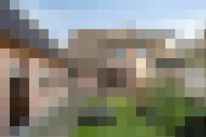 den Ekker 15 Reusel thumbnail 38