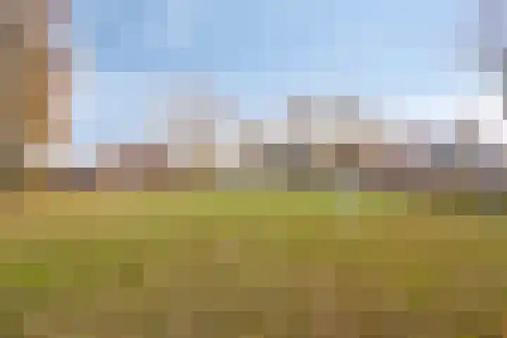 den Ekker 15 Reusel thumbnail 40