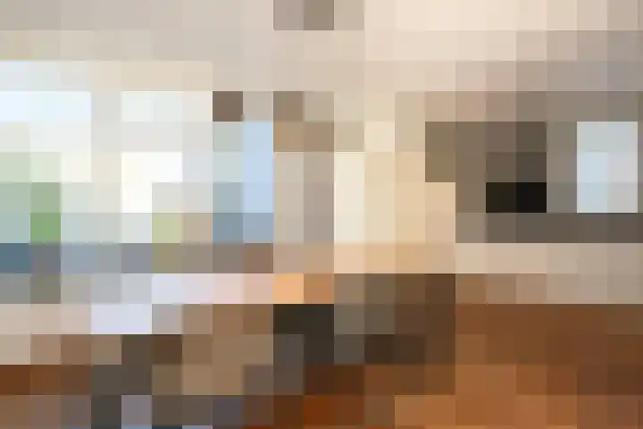 den Ekker 22 Reusel thumbnail 10
