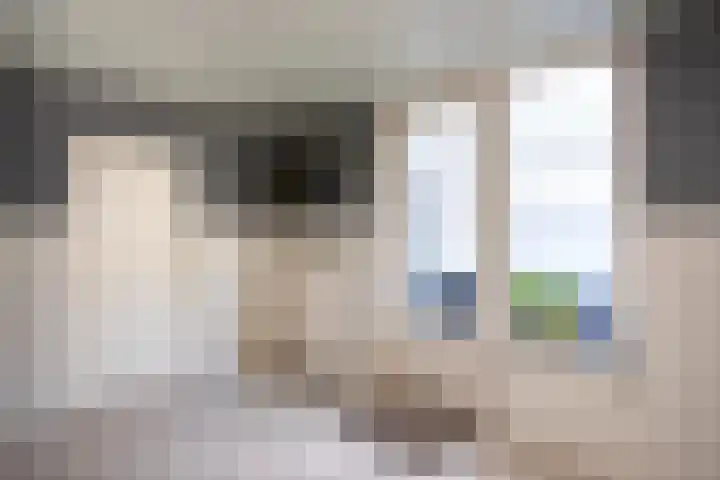 den Ekker 22 Reusel thumbnail 13