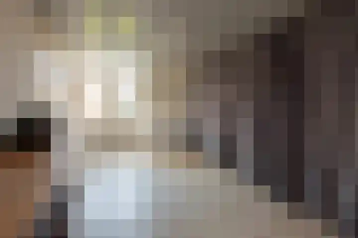 den Ekker 22 Reusel thumbnail 14
