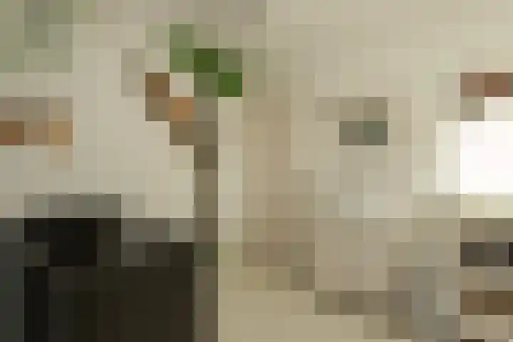 den Ekker 22 Reusel thumbnail 19