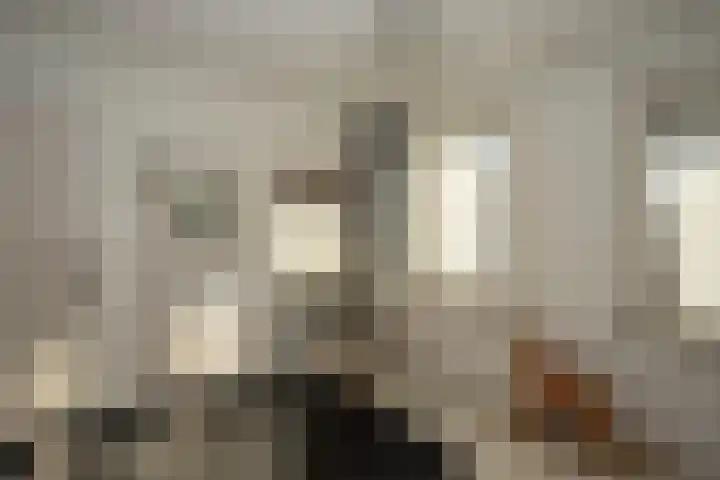 den Ekker 22 Reusel thumbnail 20