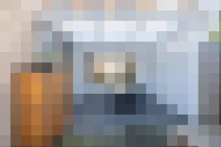 den Ekker 22 Reusel thumbnail 26