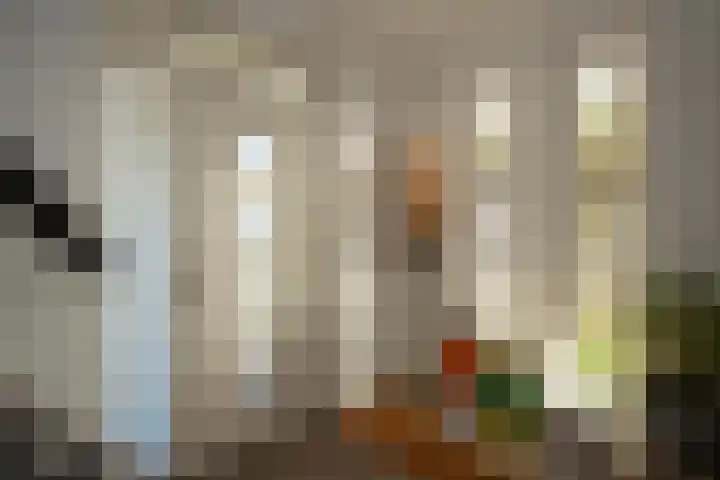 den Ekker 22 Reusel thumbnail 5