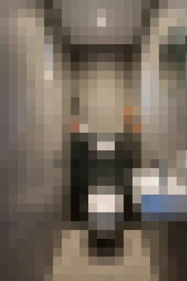den Ekker 22 Reusel thumbnail 6