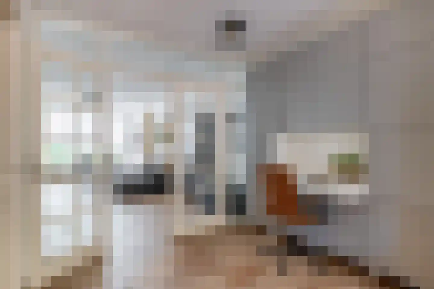 Den Ekker 22 Sint-Oedenrode thumbnail 12
