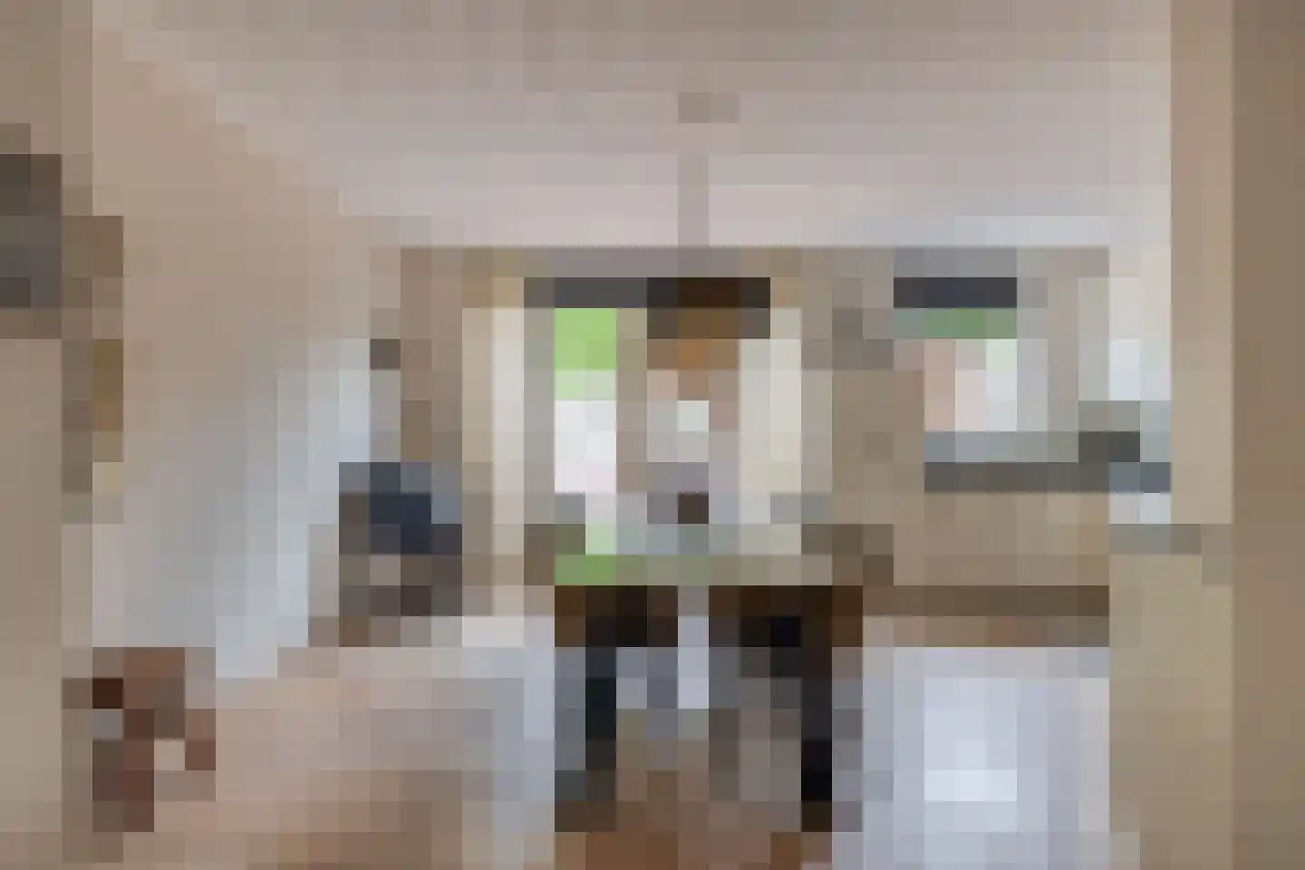 Den Ekker 22 Sint-Oedenrode thumbnail 14