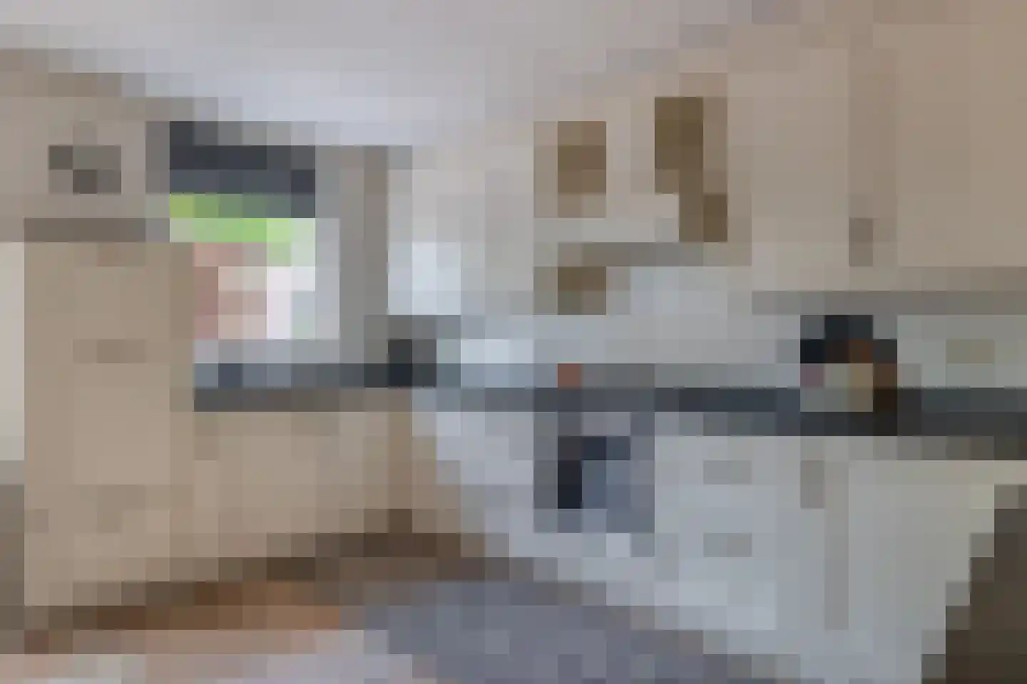 Den Ekker 22 Sint-Oedenrode thumbnail 15