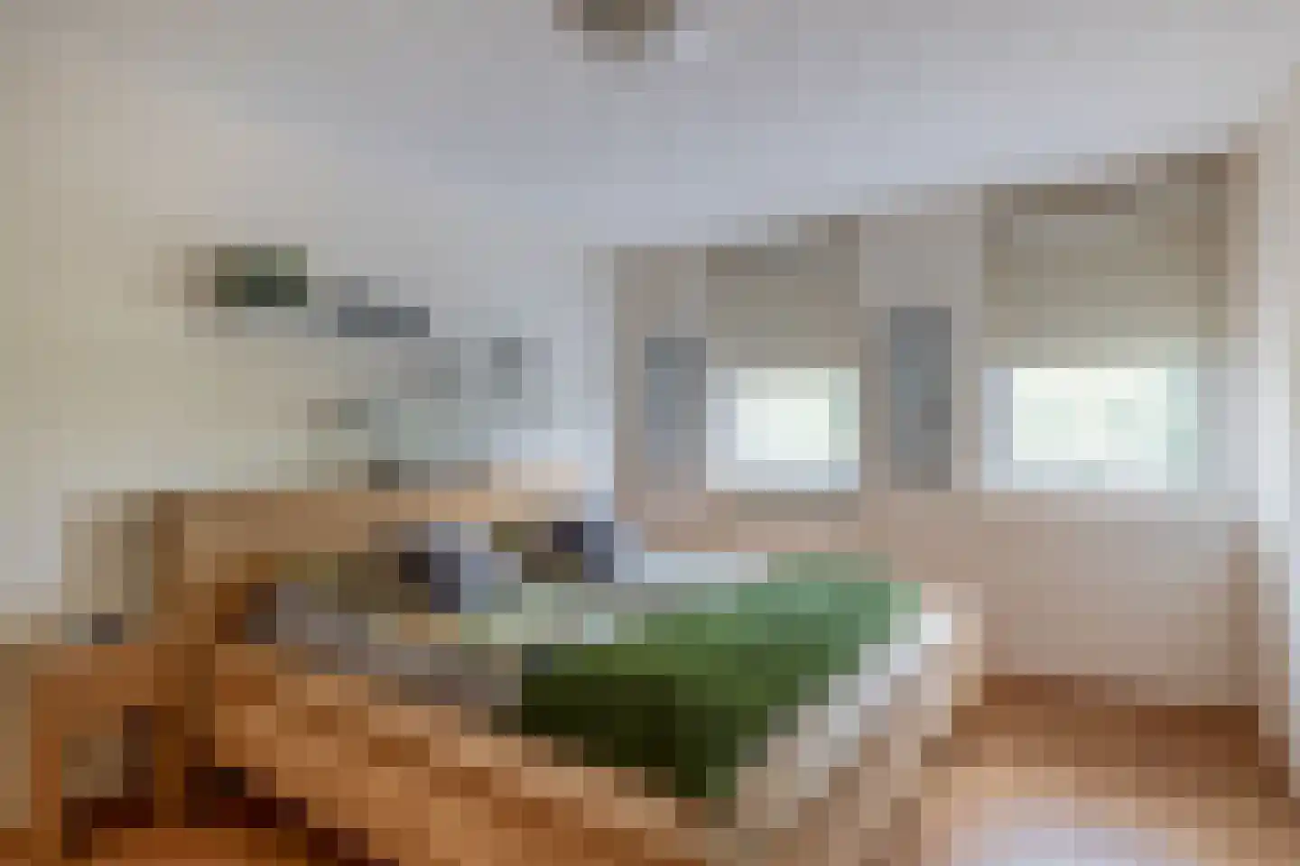 Den Ekker 22 Sint-Oedenrode thumbnail 24