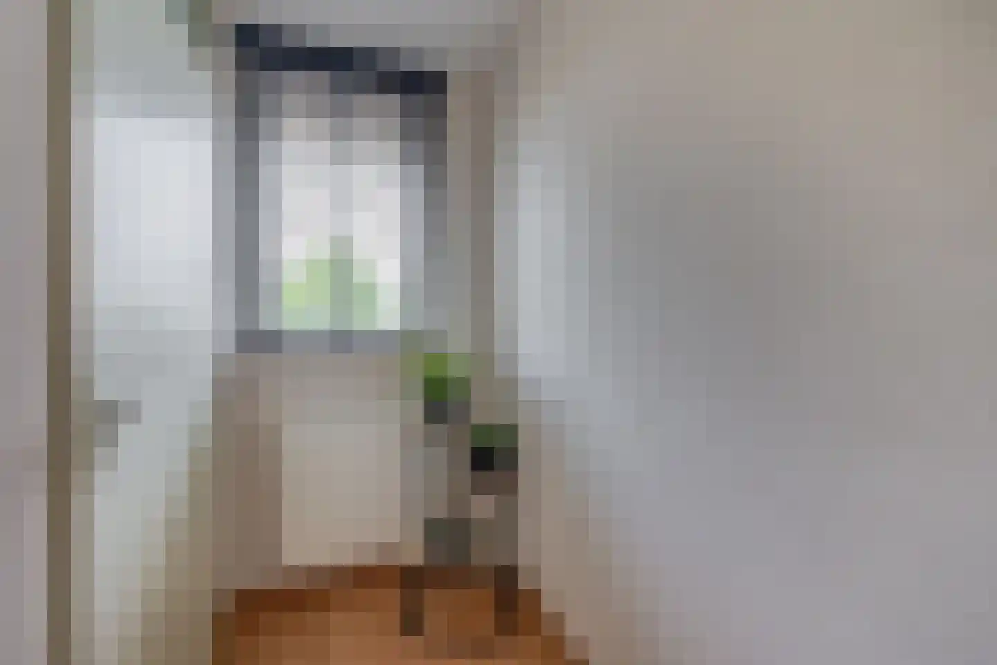 Den Ekker 22 Sint-Oedenrode thumbnail 25