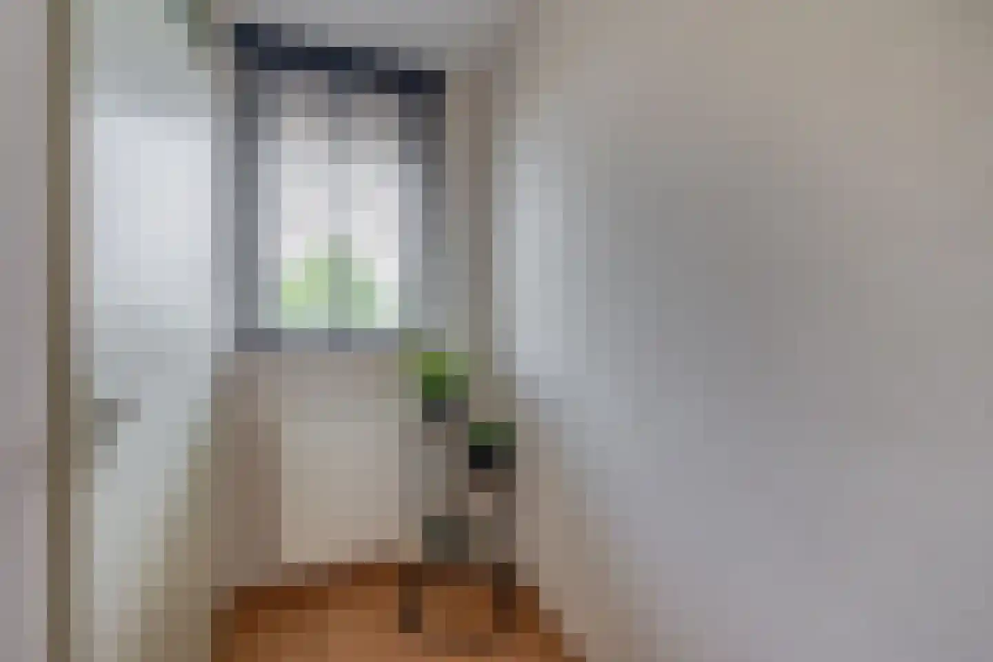 Den Ekker 22 Sint-Oedenrode thumbnail 25